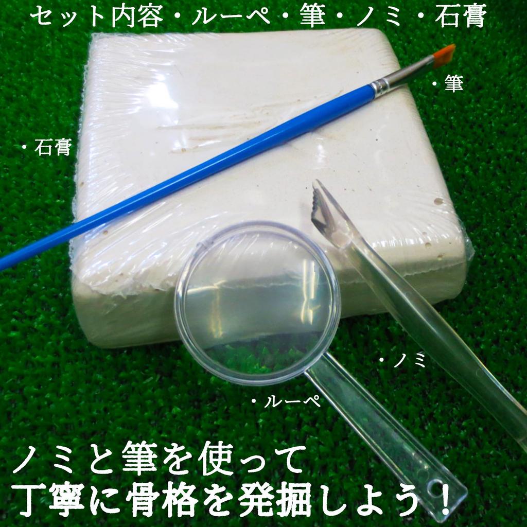 Excavation Kit for Pteranodon Ages Includes Dinosaur Figure and and Magnifying Plaster Fossil Plastic Independent Science Educational Toy Dinosaurs,