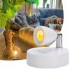 Rechargeable LED Spotlight With RC, Indoor Plants Wall Painting Display Ambient Lighting, Wireless Artwork Focus Spotlight