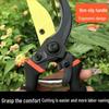 Garden Pruning Shears for Fruit Trees and Thick Branches