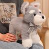 Verkauf Süßer Zwergschnauzer Hund Plüschtier Weiches Simulations-Stofftier Spielzeug Für Jungen Niedliche Po Requisiten Mädchen Geburtstagsgeschenk 30cm
