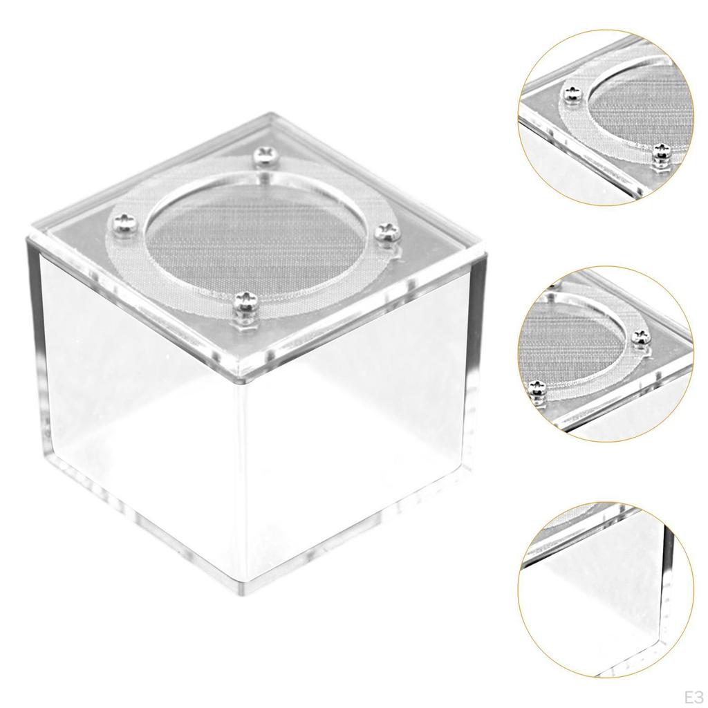 Box Reptile Breeding Acrylic Practical Sturdy Terrarium Enclosure for Silkworm Scorpion