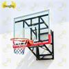 Zhongjing Wall-Mounted Dunkable Basketball Hoop