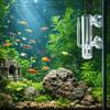 Smooth Glass Shrimp Hatchery Glass Aquarium Breeding Tube Shrimp Egg Incubator  Shrimp Breeding