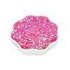 Eco-Friendly Pet Sequin Accessories for DIY Crafts and Glitter Jewelry Making