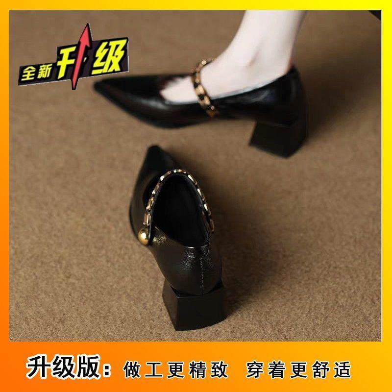 Pointed French Beautiful Fashion Thick Heel Single Shoes 2025 Spring New Women's Versatile Mary Women's Shoes Temperament Single Shoes