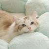 Basket Dog Soft Pets Supplies