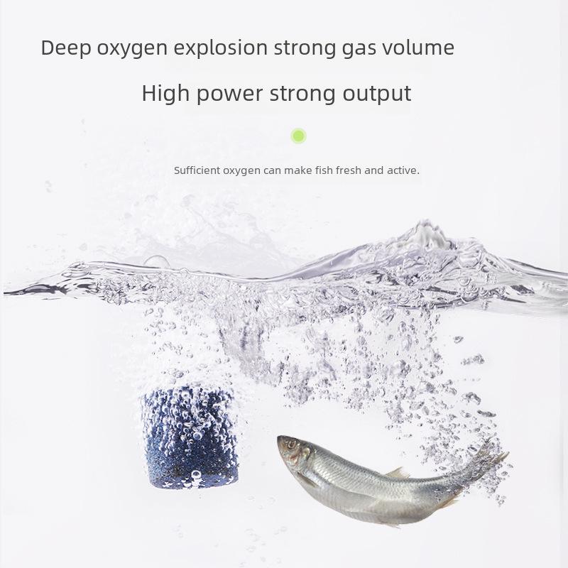 Smart Induction Fishing Pump: Multi-Function Water Extractor & Oxygenator