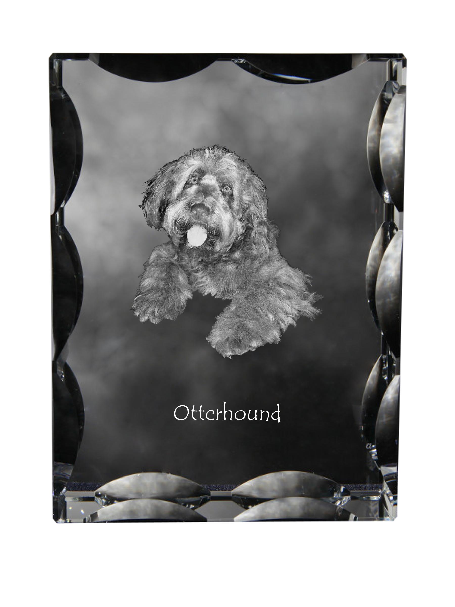 

Otterhound - crystal with a picture of a dog, glass statuette with a picture, unique frame with a picture from Art-Dog brand прозорий