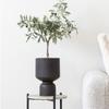 Flower Pot - EBUY24 - Loures - Ceramic - Black - Asymmetrical