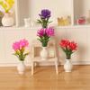 1:12 Dollhouse Miniature 4 Colors Outdoor Vase Accessories  Miniature Dollhouse Decorations