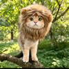 Soft Halloween Lion Transform Pet Hat Adjustable Cosplay Headwear for Dogs Dress Up Accessory Festival Party Photo Decor Prop