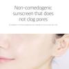 ROUND LAB 1025 Dokdo Sunscreen SPF50+ PA++++ 50ml Hydrating Lightweight UV Protection