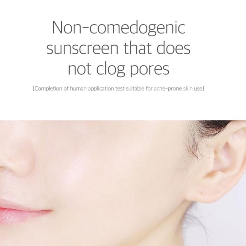 ROUND LAB 1025 Dokdo Sunscreen SPF50+ PA++++ 50ml Hydrating Lightweight UV Protection