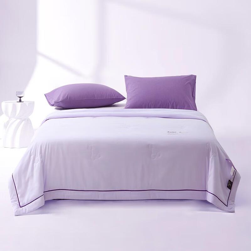 

Z.M.N. Flash Clean Technology Summer Quilt