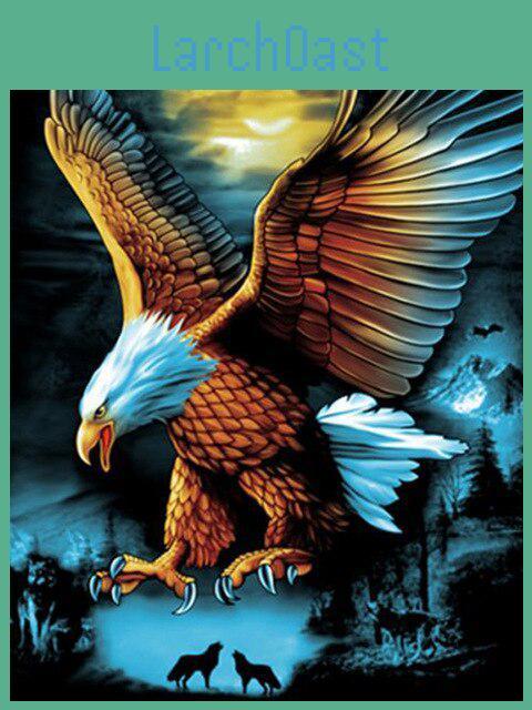 Diamond Eagle Diamond Diy Painting Embroidery Cartoon Diamond Cross Stitch Picture