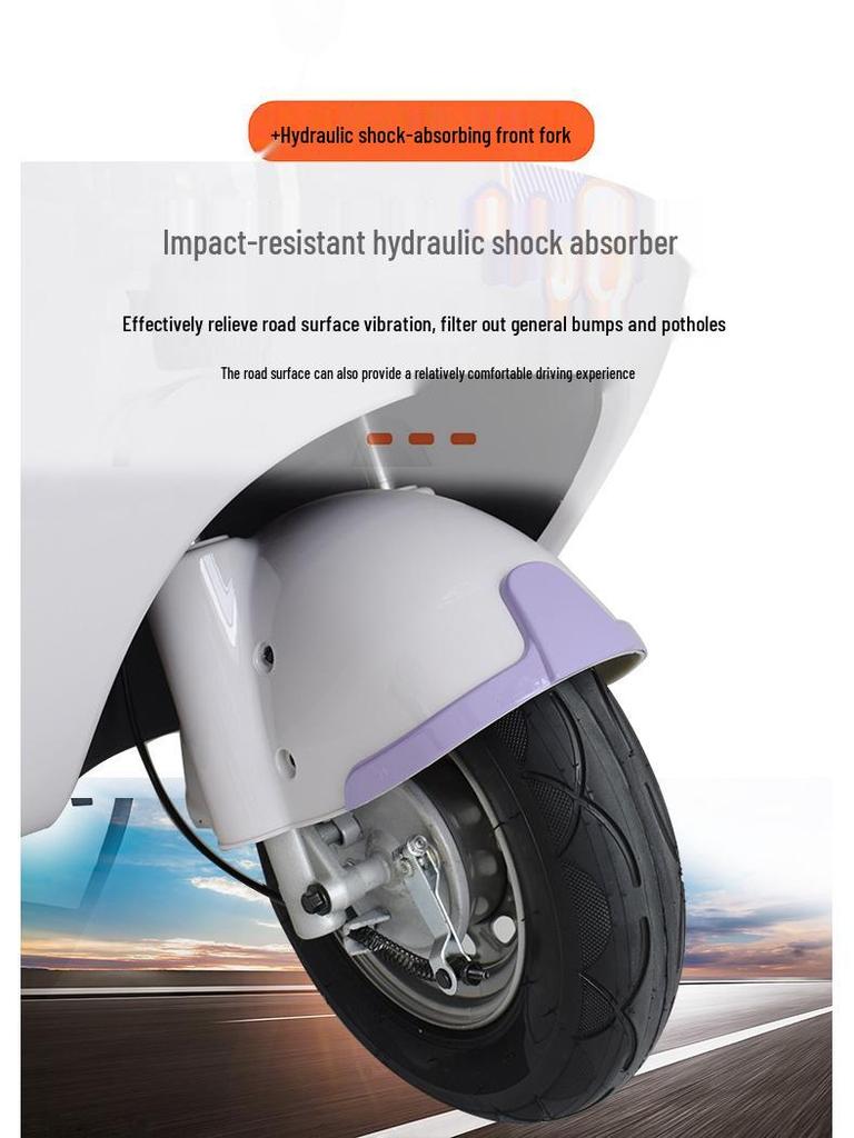 Guardian Electric Tricycle Van with Canopy, Double Row Seats, Mobility Scooter for Elderly Dual-Use