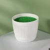 Simulation Ceramic Oval And Square Plastic Flower Pots For Small Foliage And Desktop Decor
