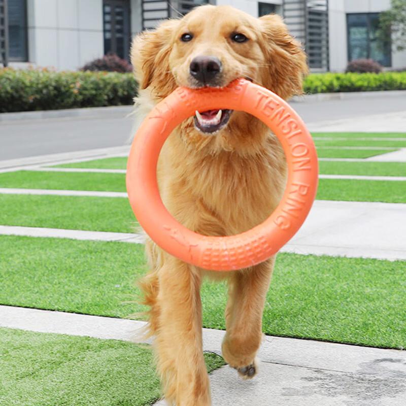 

Hoopet Interactive Dog Tug Ring Toy