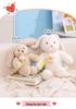Xiaohongshu Valentine's Day Long-Eared Rabbit Plush Doll Toy.