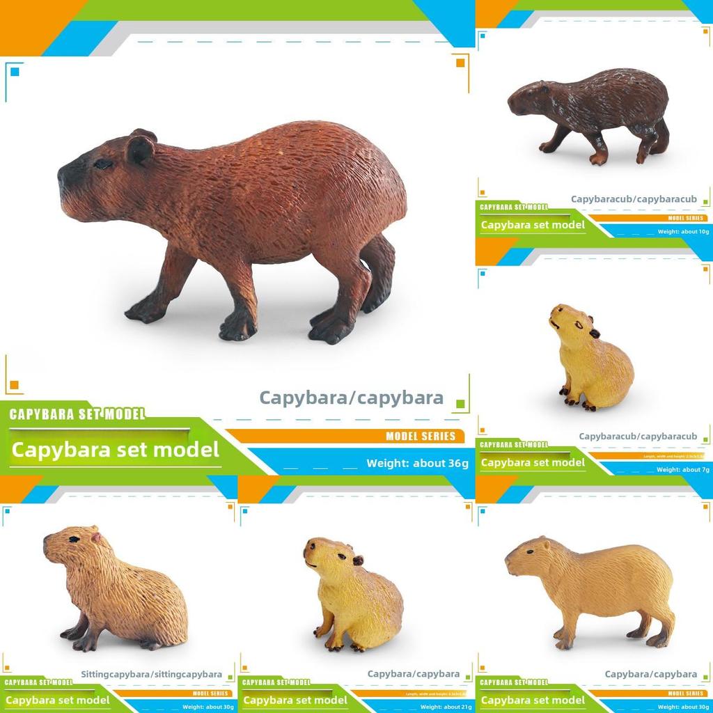 Realistic Pvc Capybara Animal Model Collection With Assembly Features For Kids Learning And Decoration