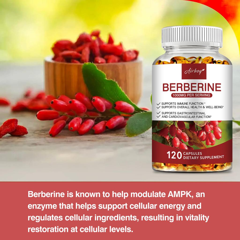 Premium Berberine, 1000 Mg, Supports Cardiovascular Health and Overall Well-Being, 120 Capsules