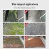 Eco-Pro Algae & Moss Remover for Cement Floors and Walls