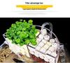 Round Glass Fish Tank: 3-in-1 Silent Filter, Oxygenator, and Waterfall Box with Ceramic Trickle Media.