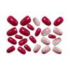 Rose Red Gradient Feather Nail Tips with Glitter Leaf Pattern – European & American Style Hot-Selling Wearable Nail Art