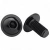 Black M6 304 Stainless Steel Hex Socket Flange Head Bolt with Washer