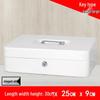 Portable Thickened Metal Cash Box with Lock and Password, Secure Storage Organizer