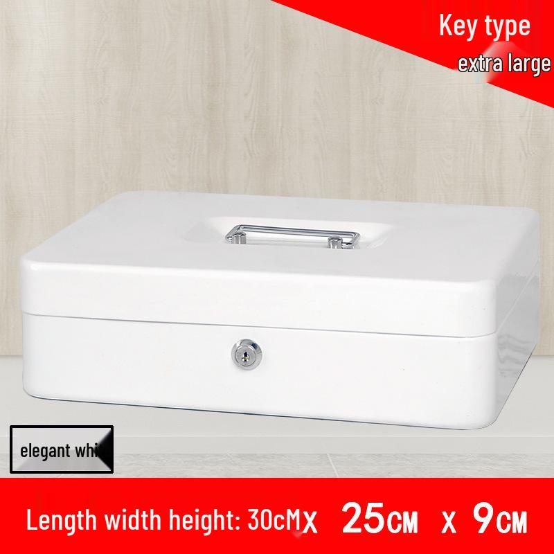 Portable Thickened Metal Cash Box with Lock and Password, Secure Storage Organizer