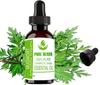 Pure Herbs Mugwort 100% Pure & Natural Artemisia Vulgaris Essential Oil UKZA 612