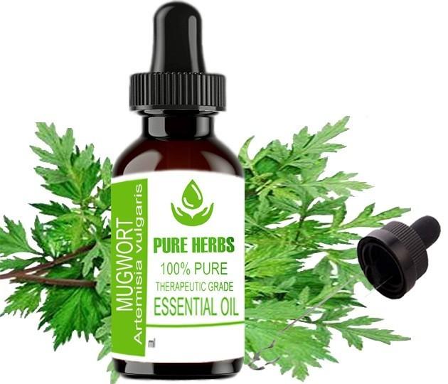 Pure Herbs Mugwort 100% Pure & Natural Artemisia Vulgaris Essential Oil UKZA 612