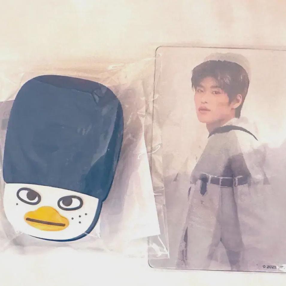 

Riize Япония Случайная игрушка Бутылка для толла Сохи Учива Аксессуар Лентикула