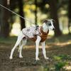 Vêtements d'automne et d'hiver épais pour chiot, gilet pour animal de compagnie, mode superposée, gilet en coton pour chien, imprimé poitrine et dos intégré, vêtements pour animal de compagnie