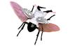 Free Research Series Ultra Monster Edition Stag Beetle Dada Specification Plastic Model No.2203