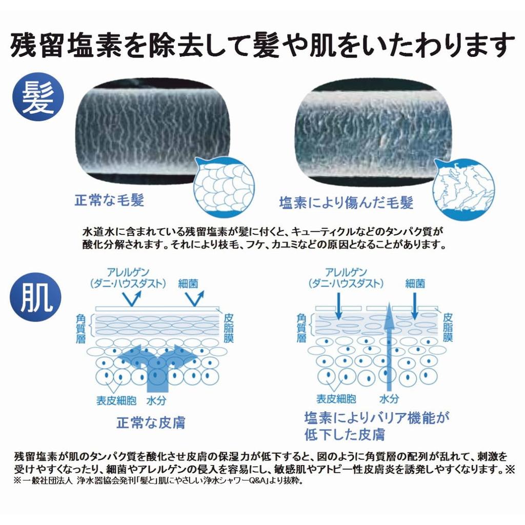 Toray Toray Trevino Water Purification Shower Cartridge Total of 2 Pieces (TORAY) "Tore Shower" RS54-AZ