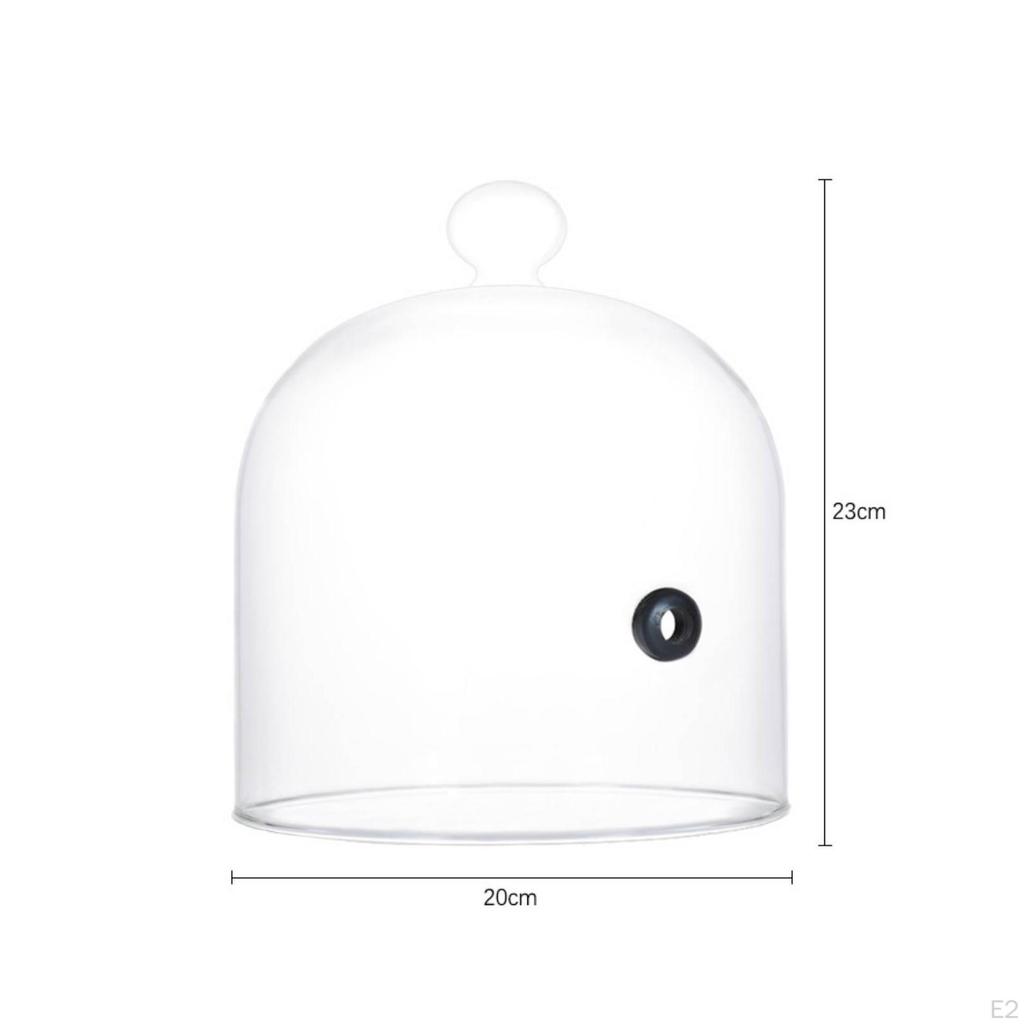 Borosilicate Glass Cloche with Hole Heat-Resistant Smoke-Infusing Dome