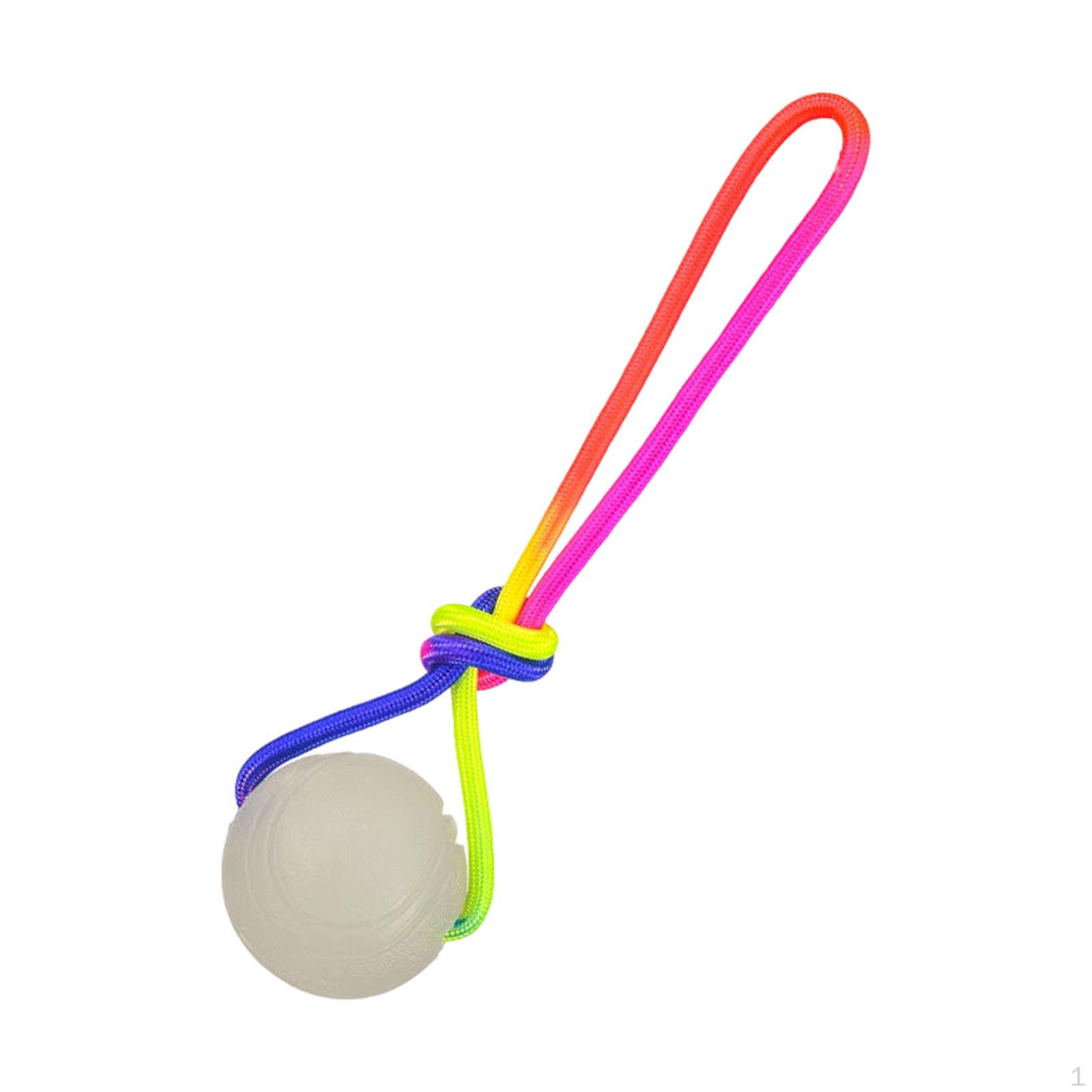 

Dog Training Ball on A Rope – And Reward Toy for Small, Medium Large Dogs 7cm