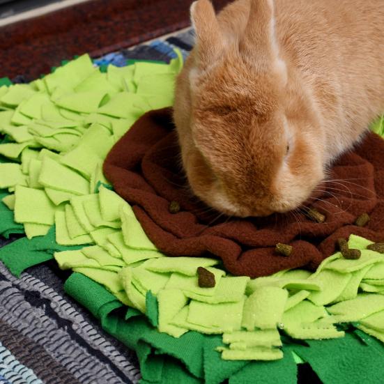Snuffle Blanket Avocado Dog Pet Interactive Mat Feeding Mat Treat Dispenser Natural