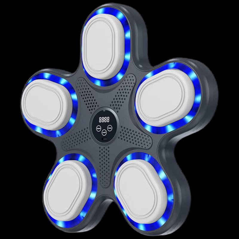 Norman Smart Bluetooth Music Boxing Target