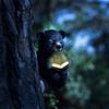Little Bear Garden Solar Decoration Lighting Creative Outdoor Courtyard Decoration Resin Little Bear Solar Lighting Decoration