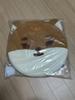 Unopened DAY6 Cushion for Sale