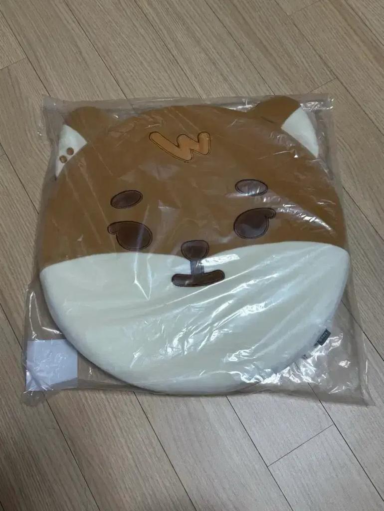 Unopened DAY6 Cushion for Sale