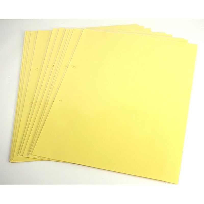 KOKUYO Clear File Refill Paper, A4 Vertical, 2-Hole, 10 Sheets, RA-680N