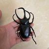 Biographical Analysis of Deer Antler Beetle and Claw Shaped Insect Beetle Gacha Simulation Animal Movable Joints Figure Toys