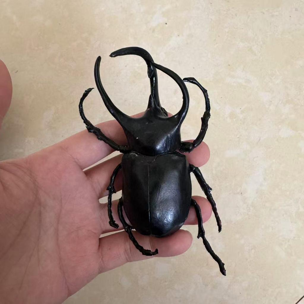 Biographical Analysis of Deer Antler Beetle and Claw Shaped Insect Beetle Gacha Simulation Animal Movable Joints Figure Toys