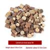 Wood Chips & Tree Slices DIY Craft Kit for Kids