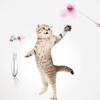 Resistant Interactive for Cat Playing Cat Fishing Rod Pet Toys Cat Stick Toys Kitten Teaser Stick