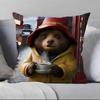 Cute P-Paddington Bear Anime Pillow Case Pillowcase Soft Skin Friendly & Comfortable With A Hidden Zipper